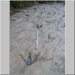 100_0973 (2009-28-07).JPG